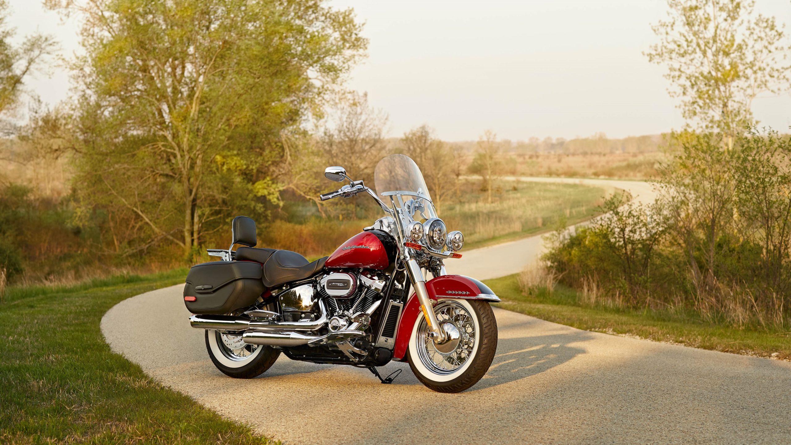 softail deluxe