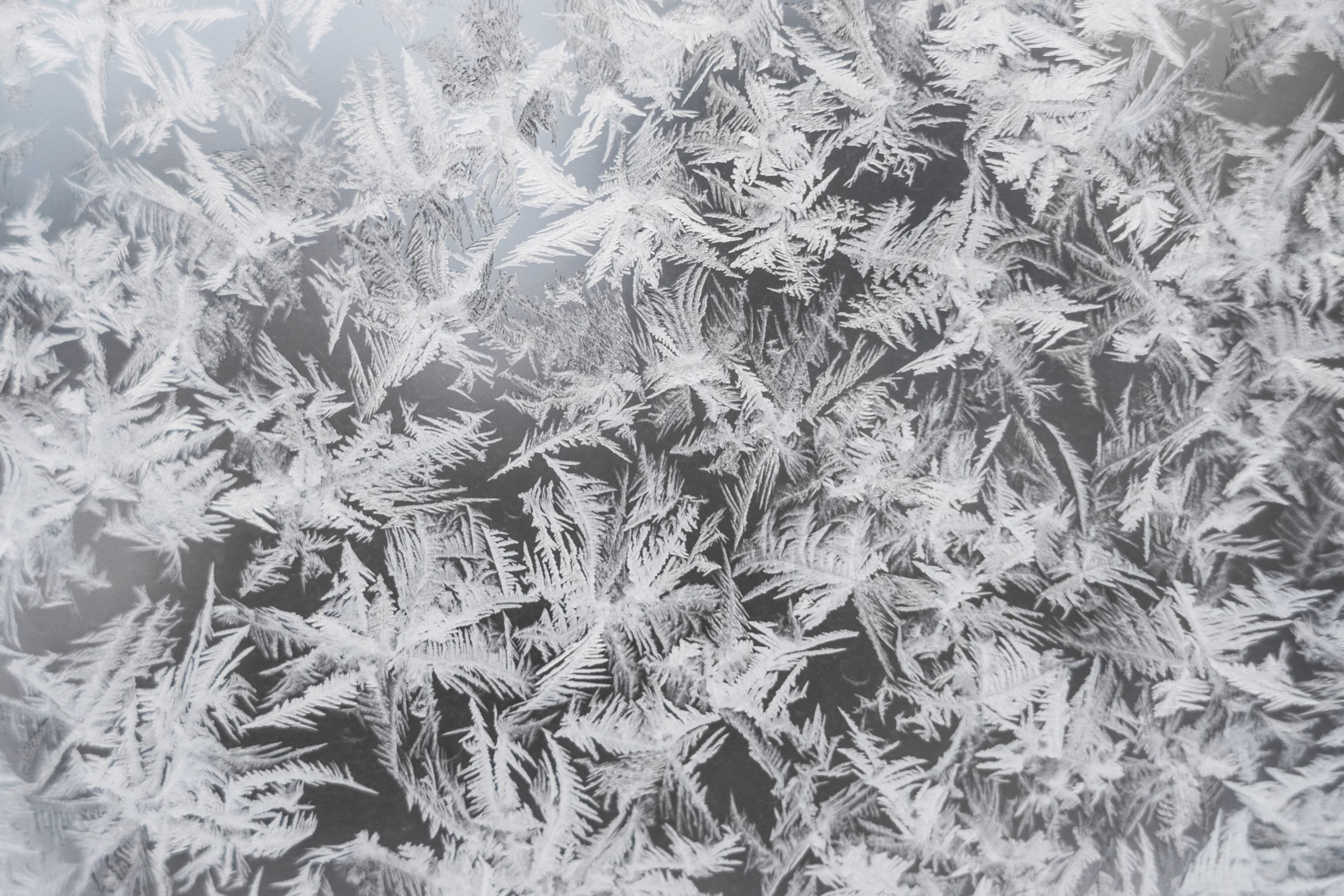 frosty windscreen