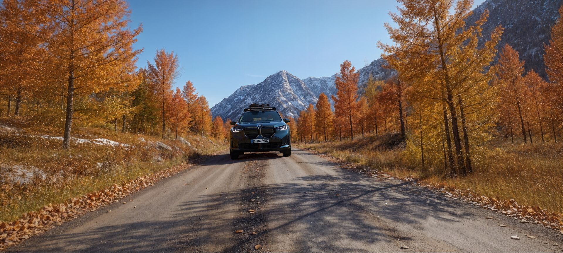 BMW Seasonal Inspection