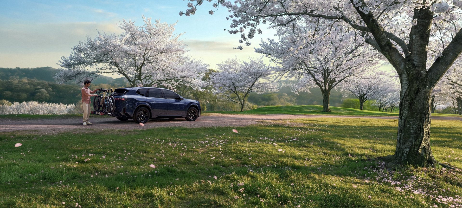 BMW Summer Checks
